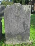 image of grave number 559731